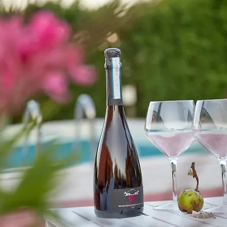 Da Rosy Vakantieboerderij Codevigo