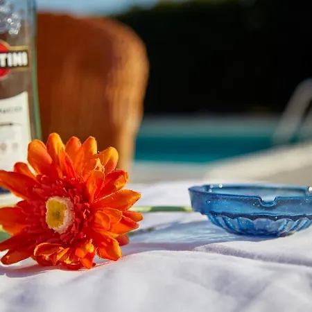 Vakantieboerderij Da Rosy Codevigo